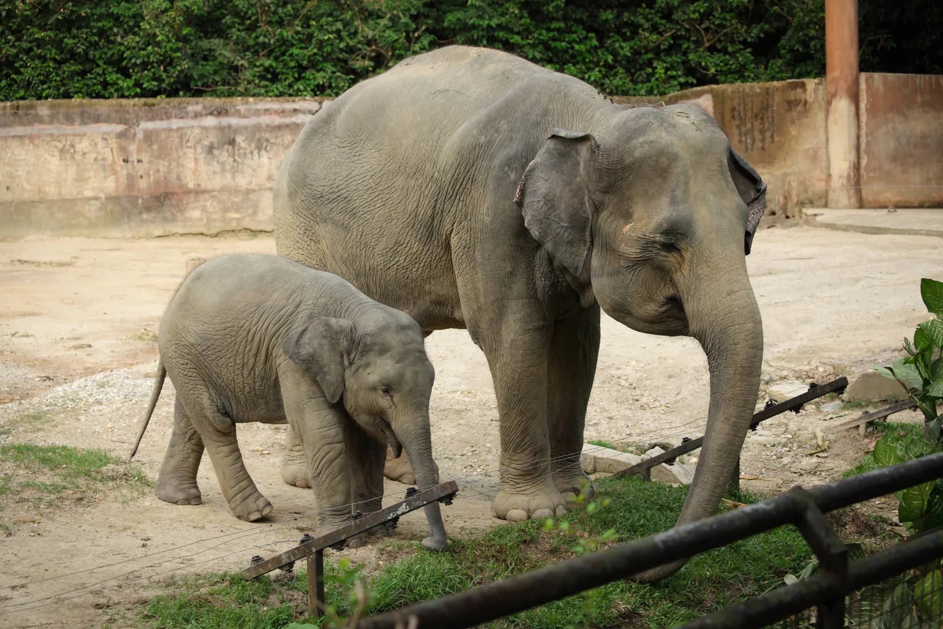 Burgers’ Zoo