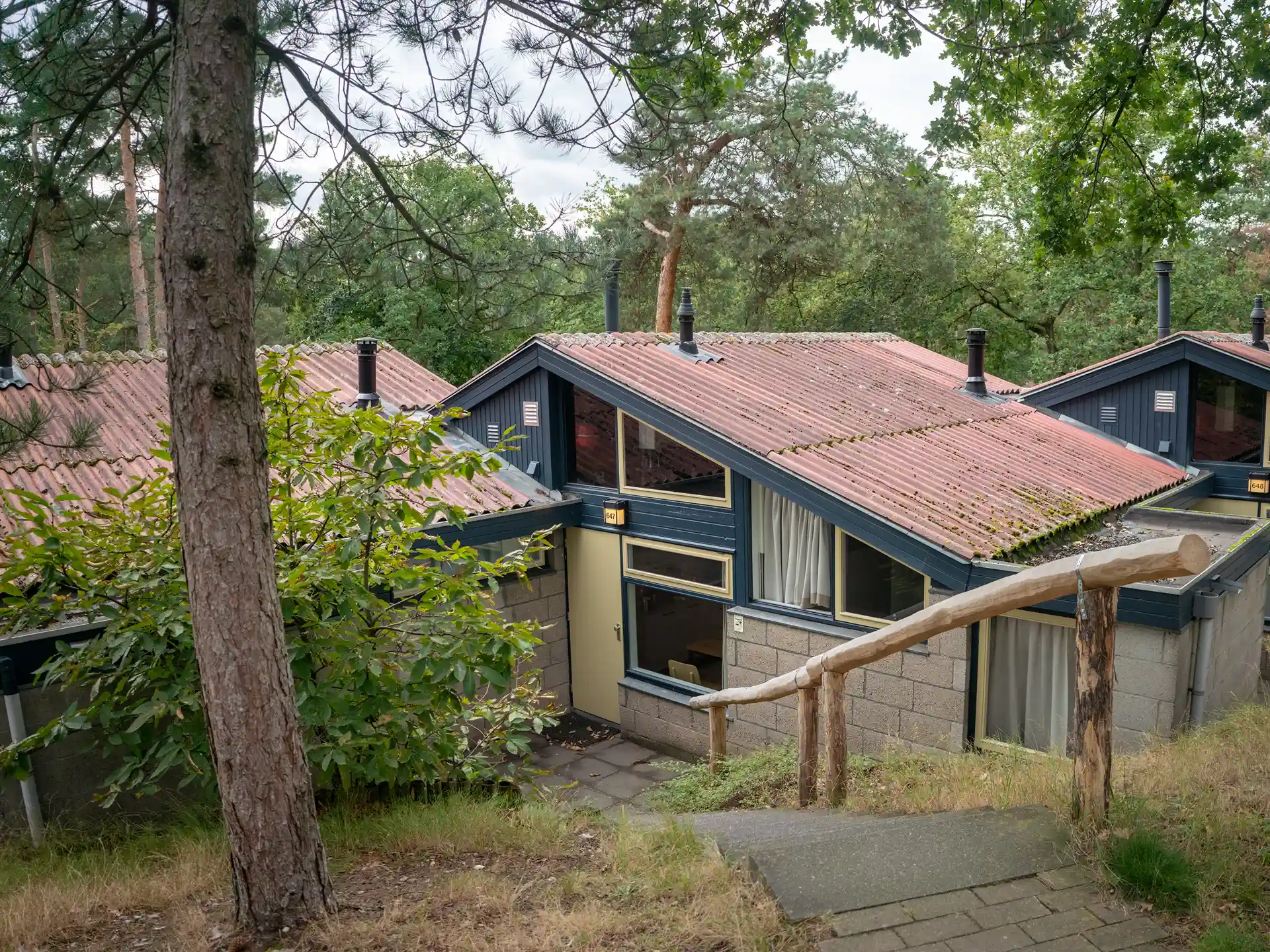 Sfeervolle geschakelde bungalows in het bos op vakantiepark Landal De Lommerbergen.